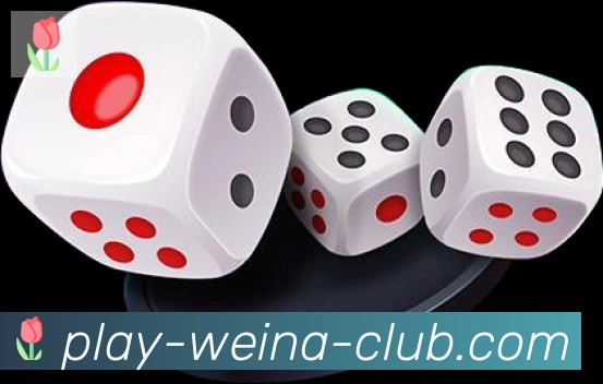 奖项3